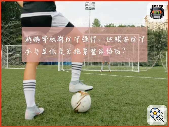 鹈鹕锋线群防守强悍,但锡安防守参与度低是否拖累整体协防?