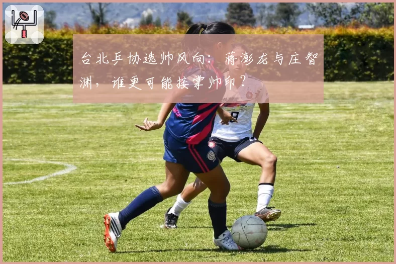 台北乒协选帅风向：蒋澎龙与庄智渊，谁更可能接掌帅印？
